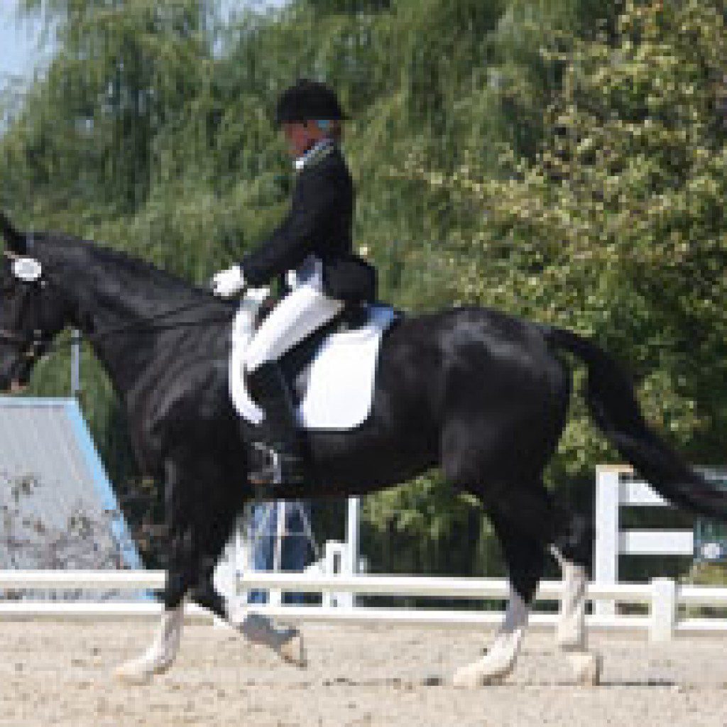 Jan and Chance AEC Dressage 2007
