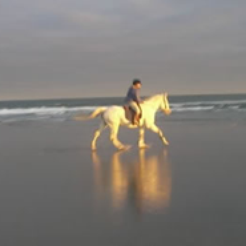 Alison and Jafar at Hampton Beach