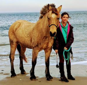 Starbuck & Jasmine Crane Beach