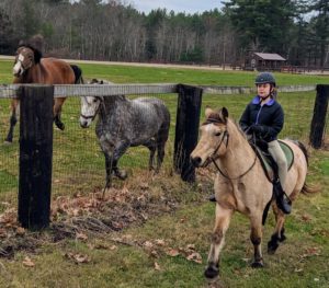 Trail Ride to Brookvale Farm