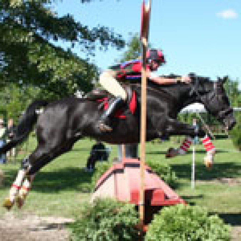 Jan and Chance cross country