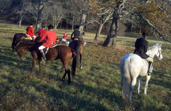 Fox Hunt - Image 14