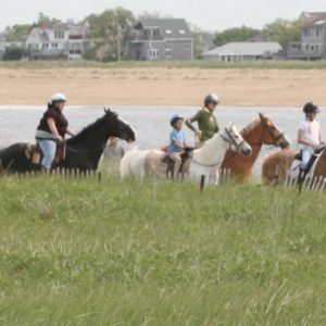 Beach Trail for all