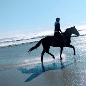 Fendler + student Hampton Beach, NH. Horse lease.