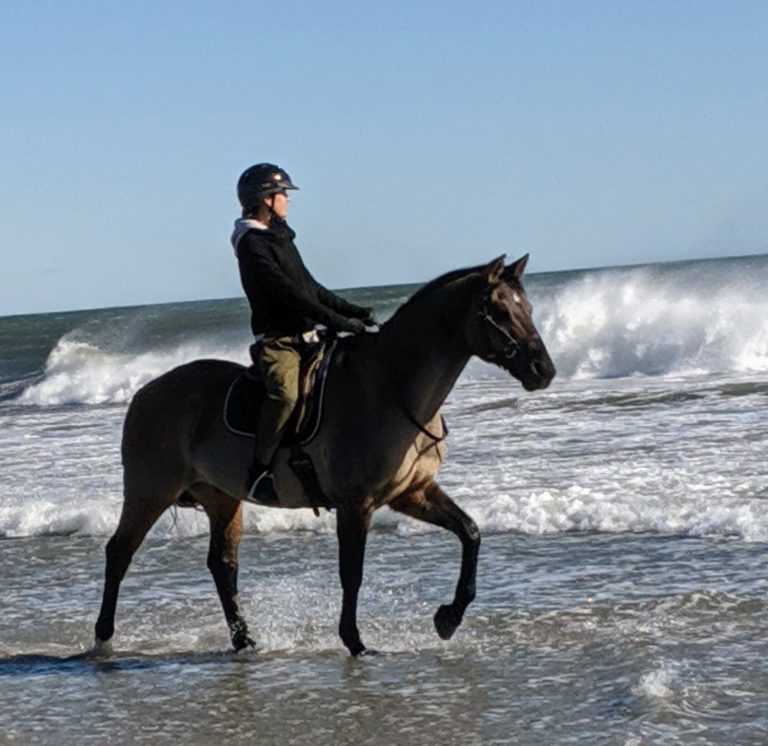 Horseback Ride Experience on Hampton Beach NH with North Road Farm, Fremont NH