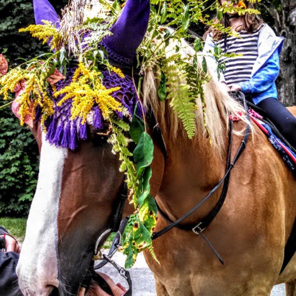 Graham's headress