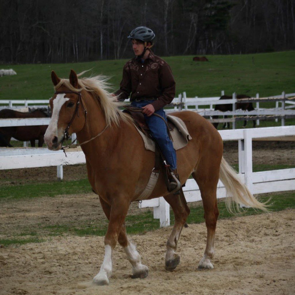 Graham and Jack western undersaddle