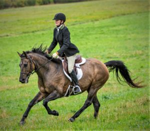 Horses for Lease. Fendler fox hunt