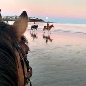 Hampton Beach NH state park horseback ride at sunset.