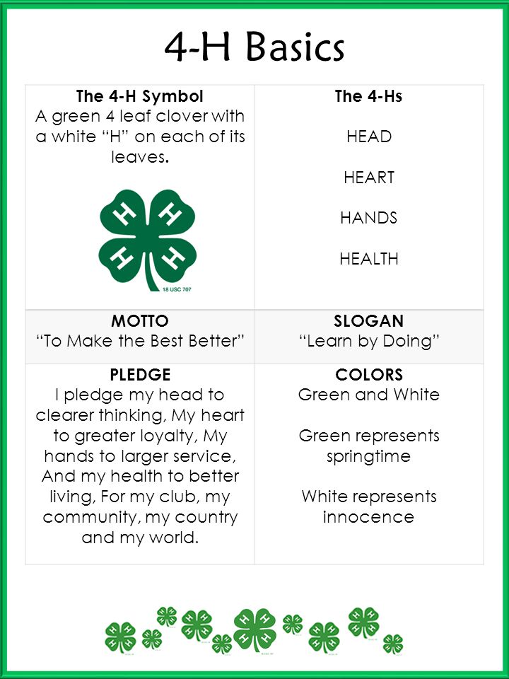peppermint ponies 4 h club annual membership 4h meaning