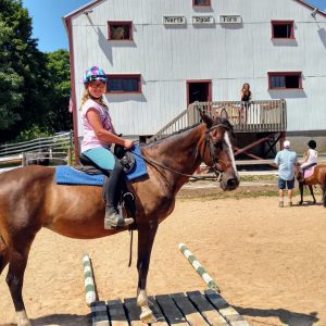 Jackie & Allie V arena obstacles