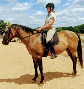 Good Balance Dressage