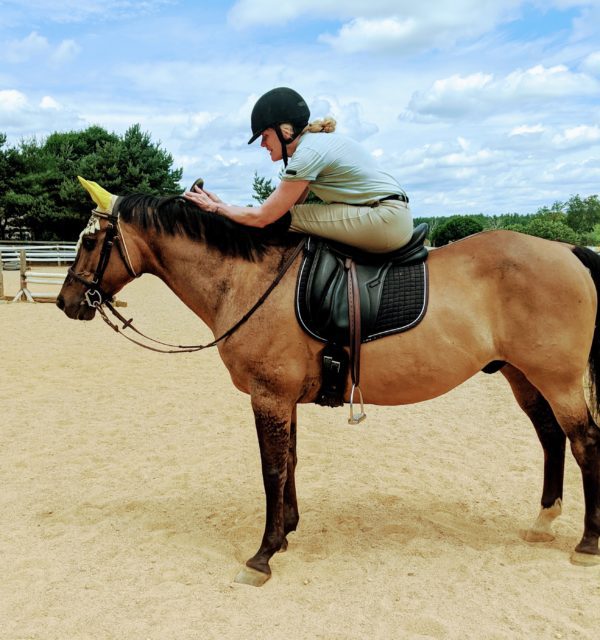 Horse yoga lesson: left leg stretch over withers