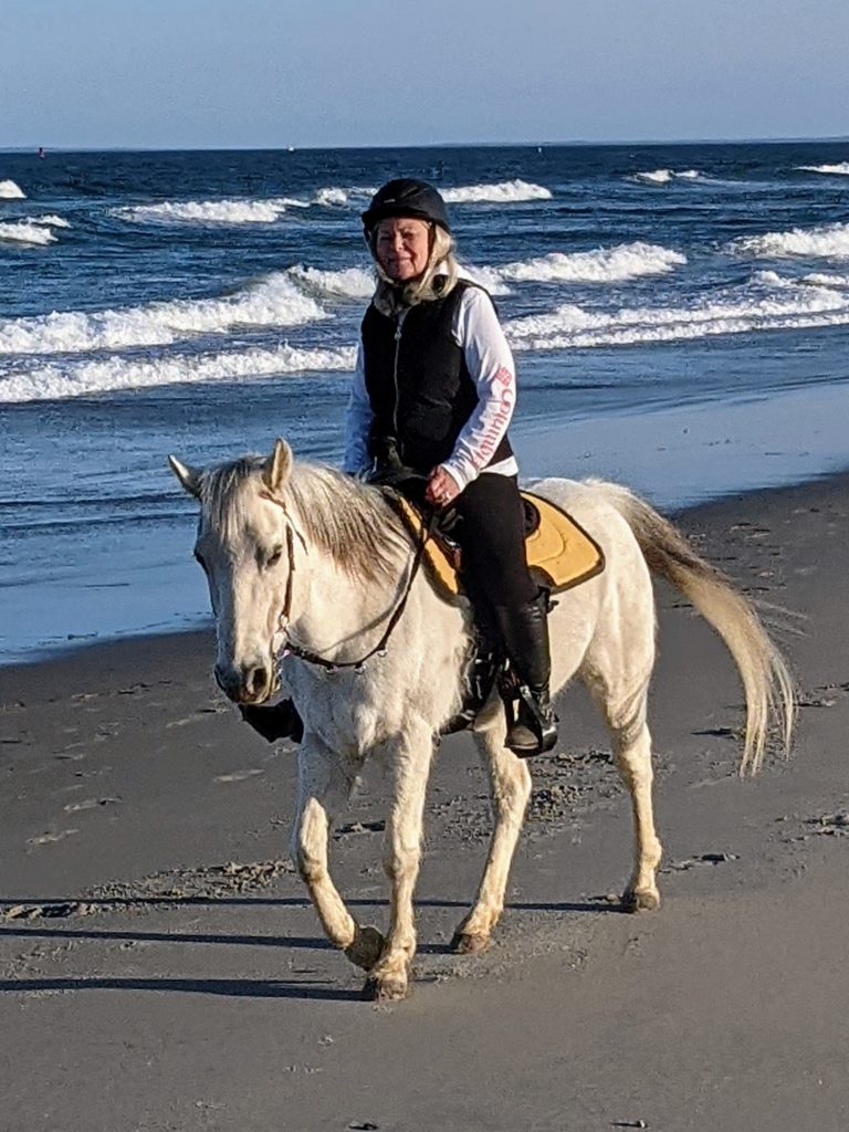 Horse Lease: Titanium 14 h Welsh pony gelding