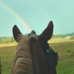 Rainbow Trail Graham