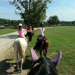 Always popular adventure ride to nearby farm and pastures.