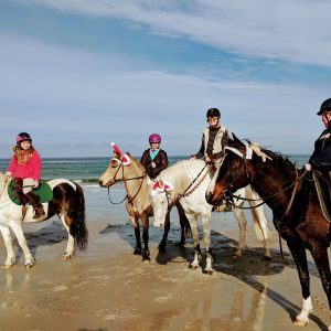 Crane Beach MA horseback ride