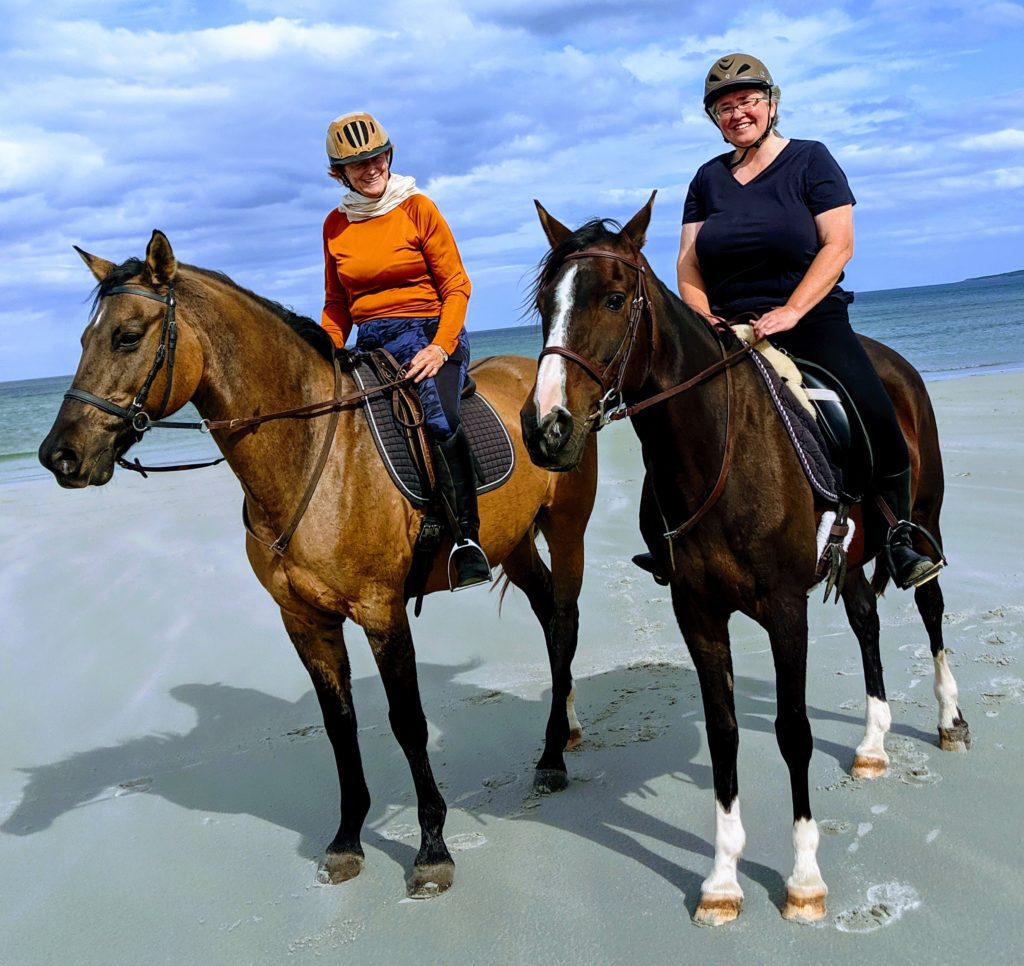 Safe Riding Horses for Lease, Fremont NH