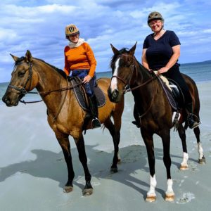 Safe Riding Horses for Lease, Fremont NH