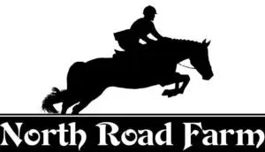 Crane Beach, Ipswich MA Horseback Ride. Ride horses. North Road Farm Jan Brubacher