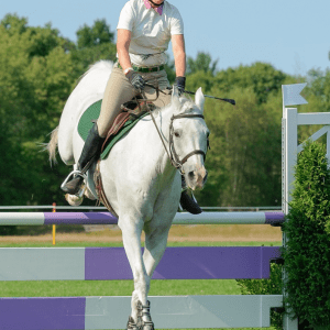 Jan & JaFar, Open Jumpers Myopia Horse Show