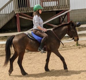 Lady & Diane, blue bareback pad