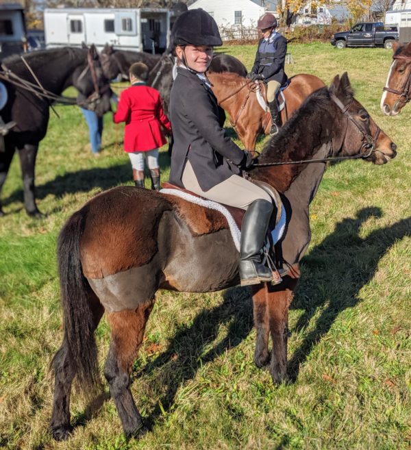 Lady & Molly at fox hunt