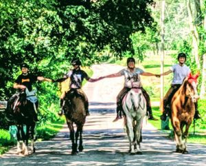 4 campers riding horseback together.