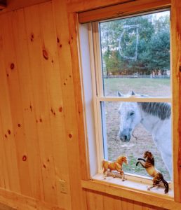 Bunkhouse window Ti toy horses