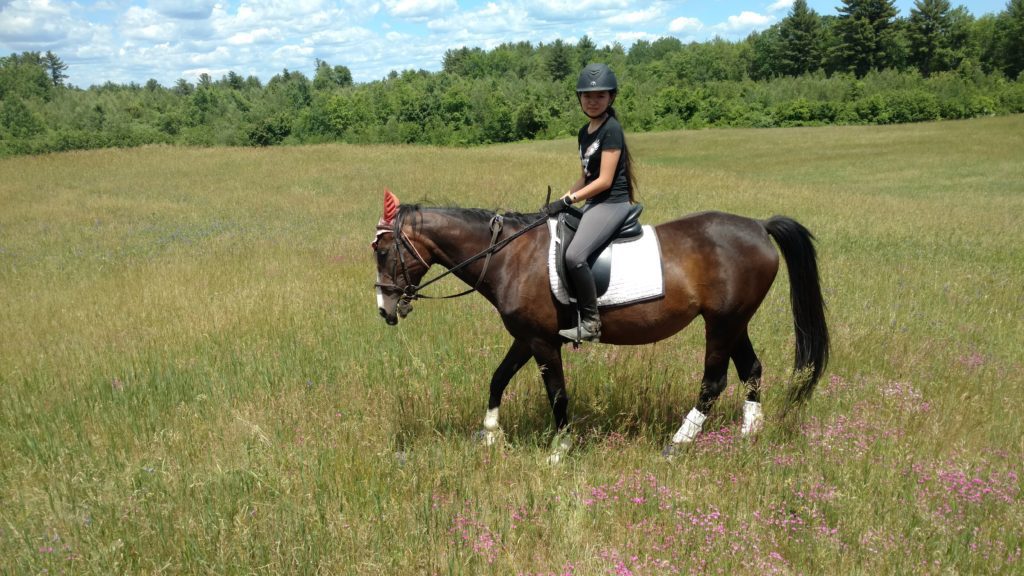 Jackie takes her rider through a beautiful meadow.
