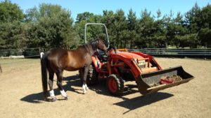 Jackie inspects the farm tractor.