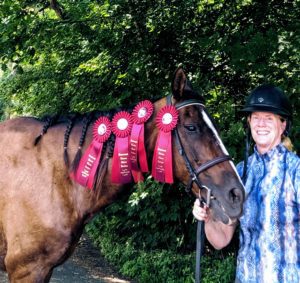 Jackie 4 Reds, Seacoast Jumpers