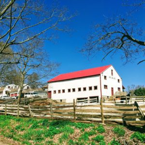 North Road Farm Airbnb, Fremont NH in spring time