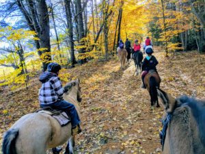 North Road Farm Naure Trail Horseback Ride on Rockingham Rail-Trail, Fremont NH