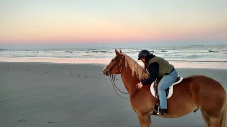 Graham & rider seacoast sunset