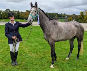 Willow @ Pipestave Dressage