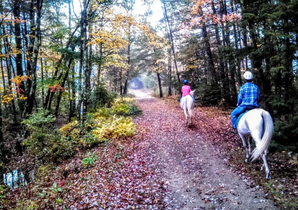 Spectacular fall colors out on the rail-trail network at North Road Farm Fremont NH
