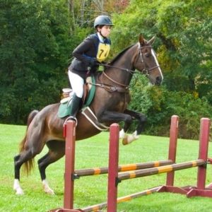 Jackie cross country warm-up oxer jump. Horse lease.